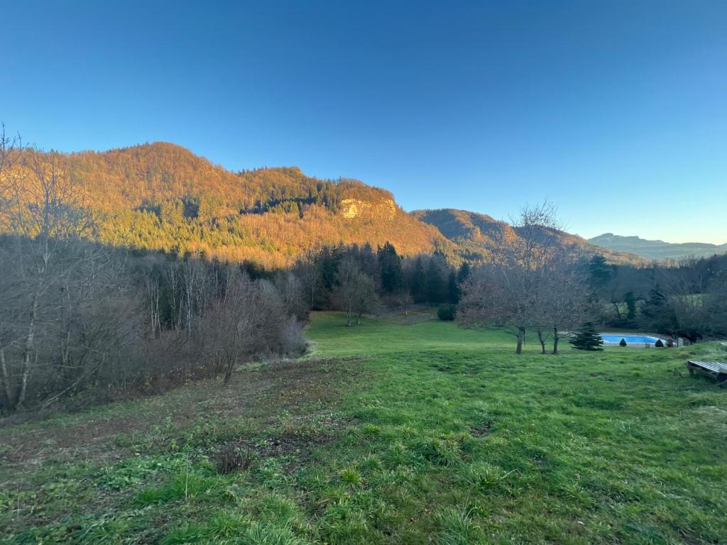 Maisonnette dans la vallée verte - 2