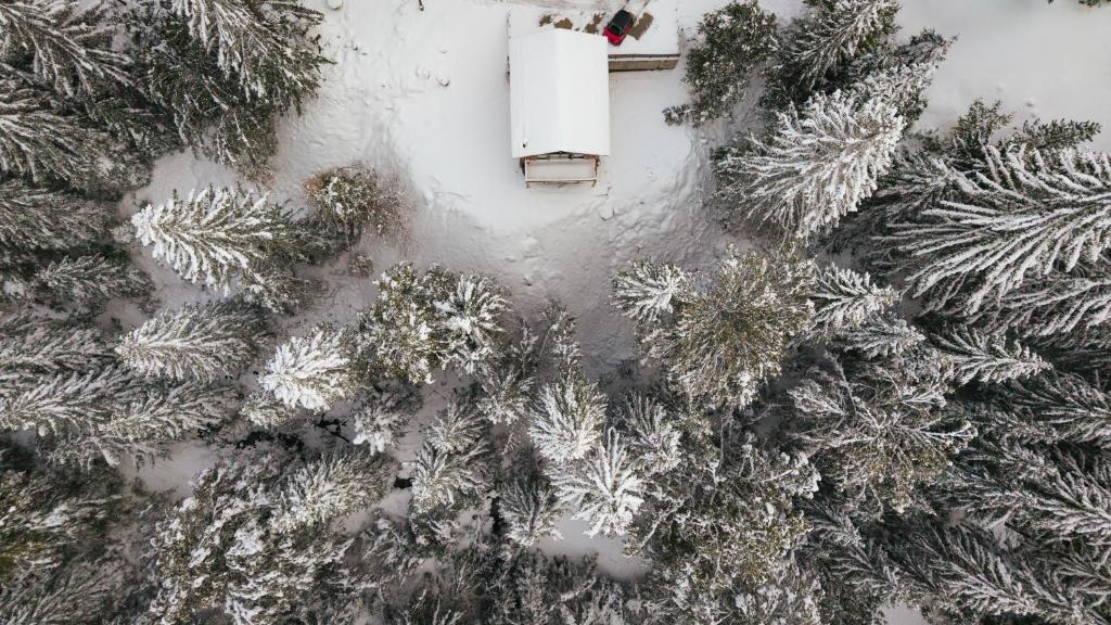 Gorska Vila - 3