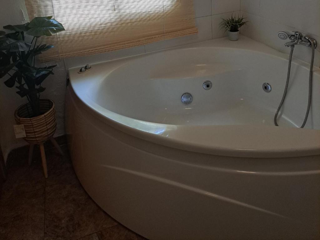 Apartamento con jacuzzi - 2
