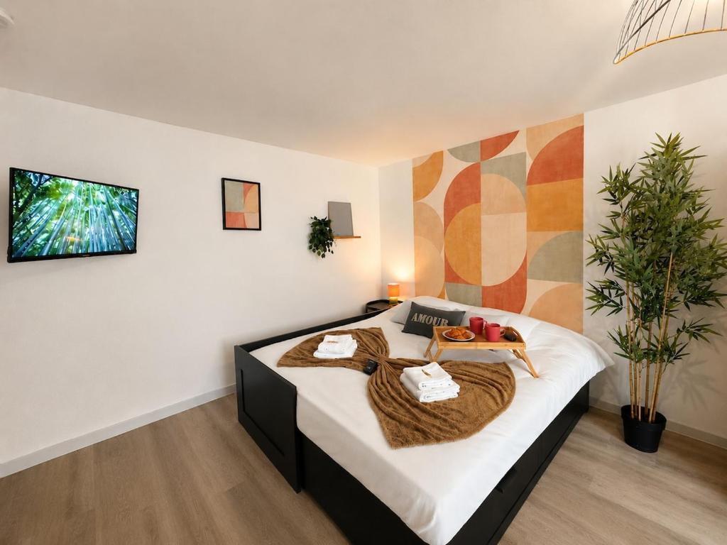 N Le Bambou Tiercelins studio cosy au centre ville - 4