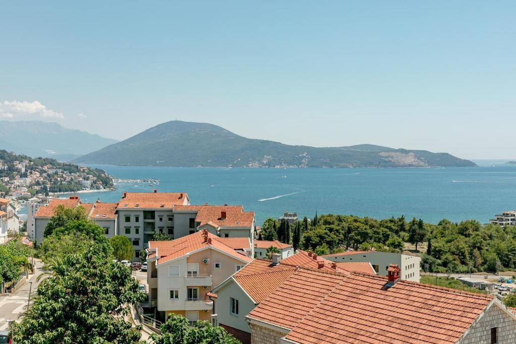 Vasic Apartments - 3