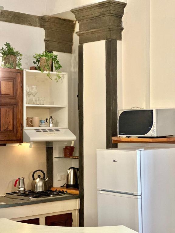 Lovely Florence Apartment for 3 Historic Oltrarno - 2