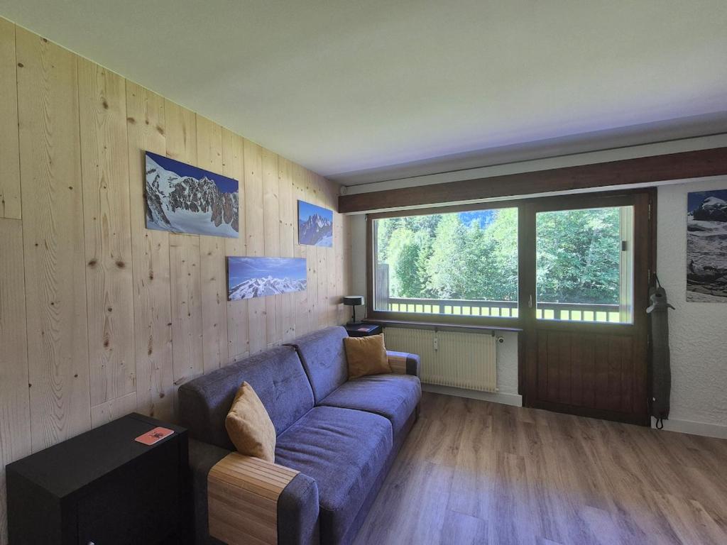 Cosy flat 400m from the pistes and TMB route - 1
