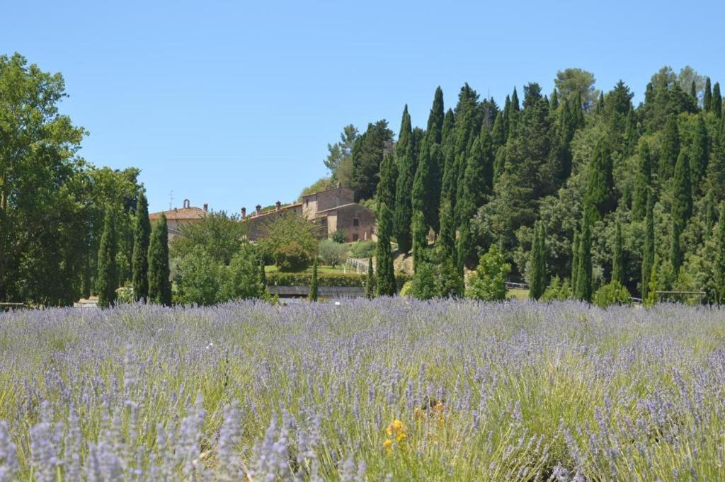 Borgo Il Castagno - 4