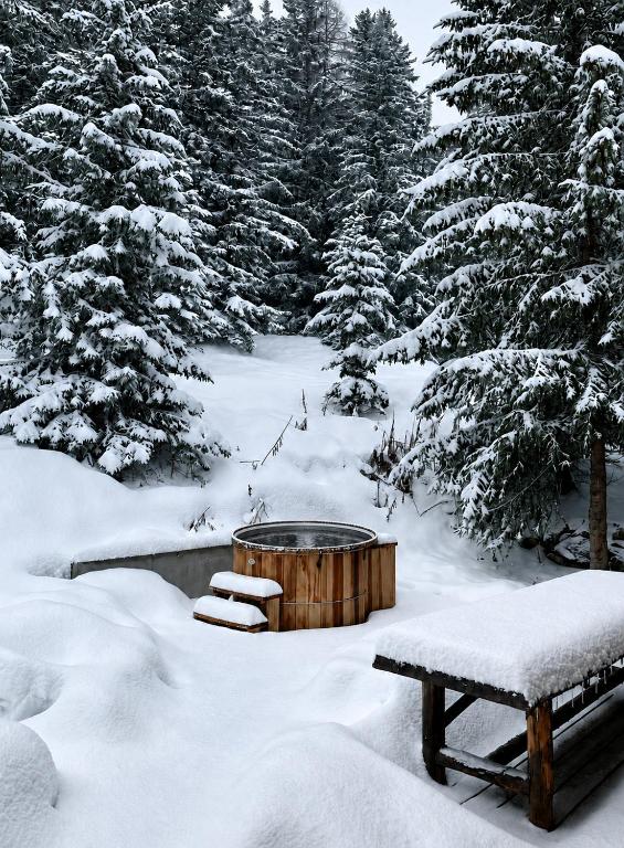 Chalet Vermont Courchevel 1850 - 3
