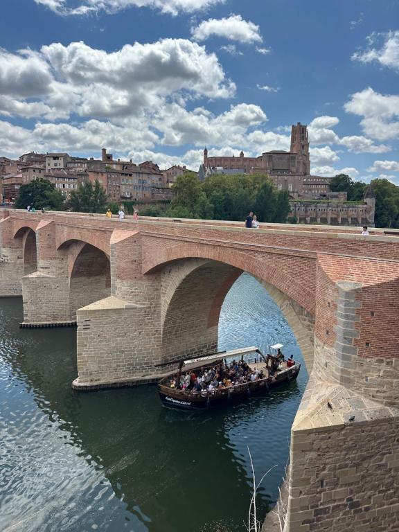 Le Pont Vieux Albi - Premium vue panoramique - 5
