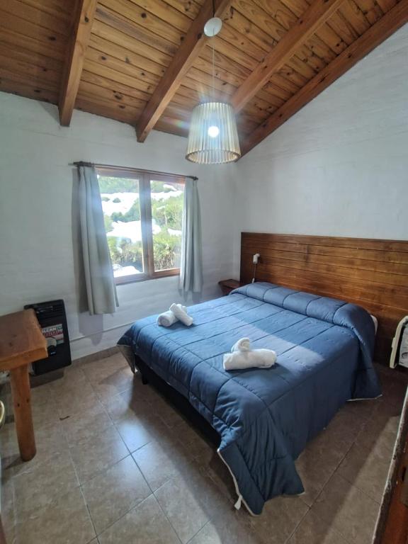 Aparts y Cabañas Costa de Lago - 3