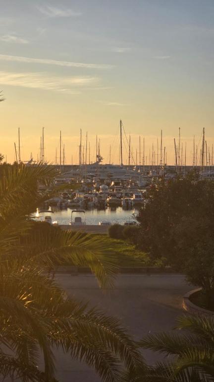 Apartmani Marina Bar II - 3