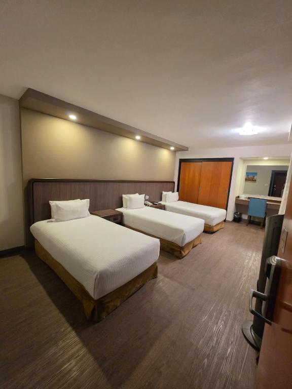 Hotel Metropol - 5