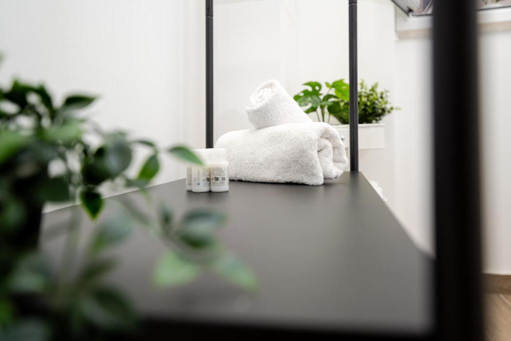 DM House & Suite - 2