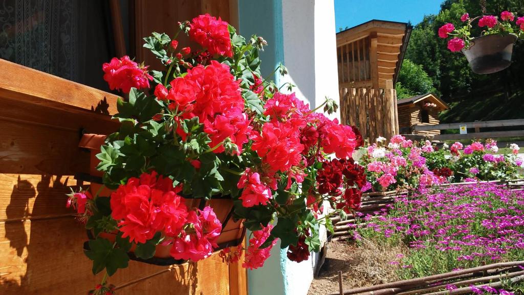 B&B El Molin - 4