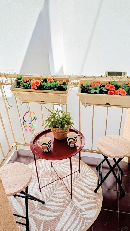 "Studio O'Linka" Cozy Balcony near St Sava Temple - 1