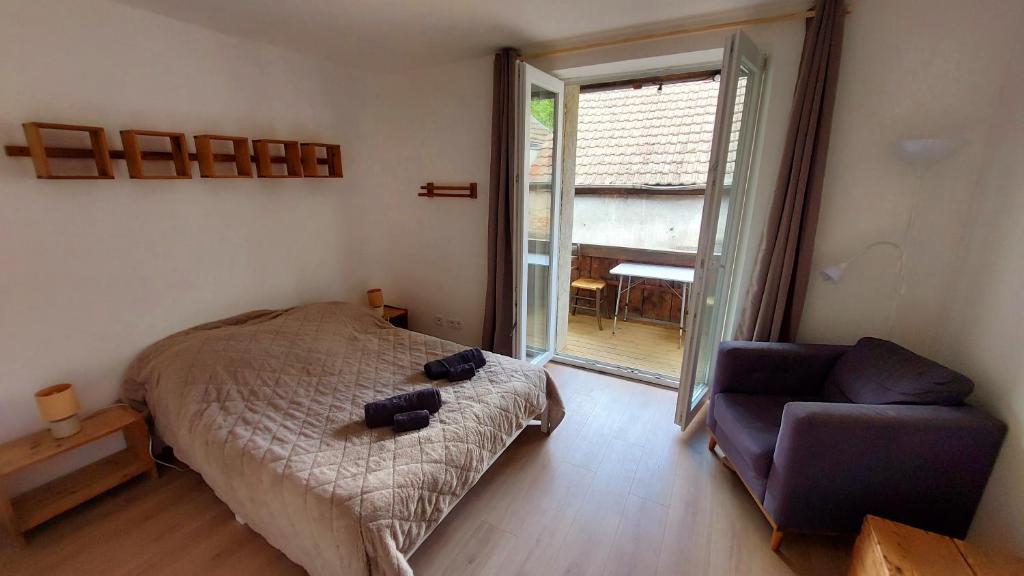 Large Private Room Near Colmar Center with Free Public Parking - 2