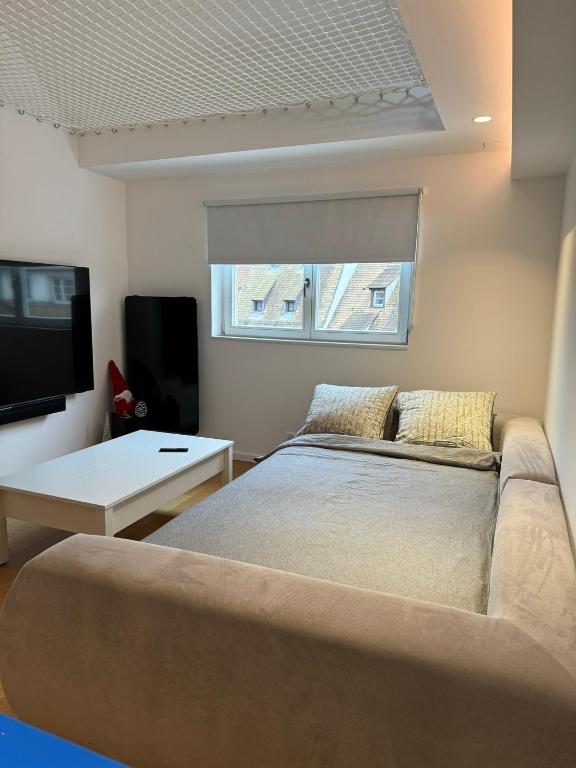 Appartement centre ville Strasbourg vue cathédrale - 5