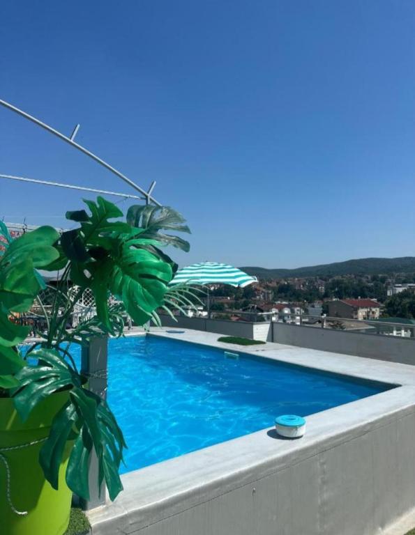 Apartman Maja - 4