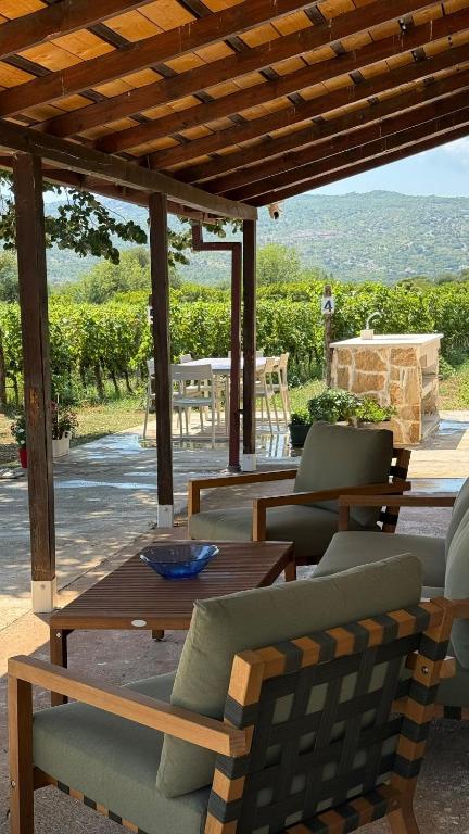 Vineyard Cottage with Mountain Views - 5