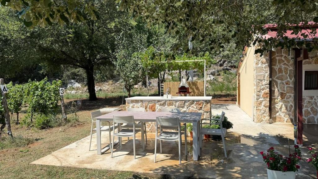 Vineyard Cottage with Mountain Views - 4