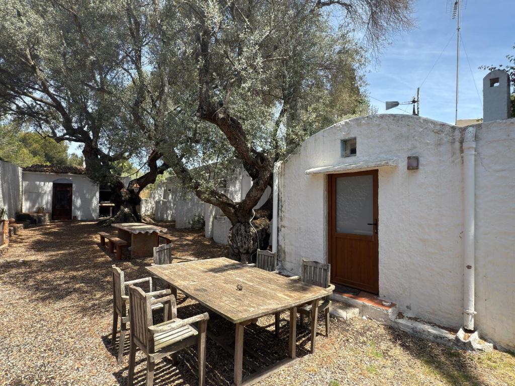 Casa de arte - 2