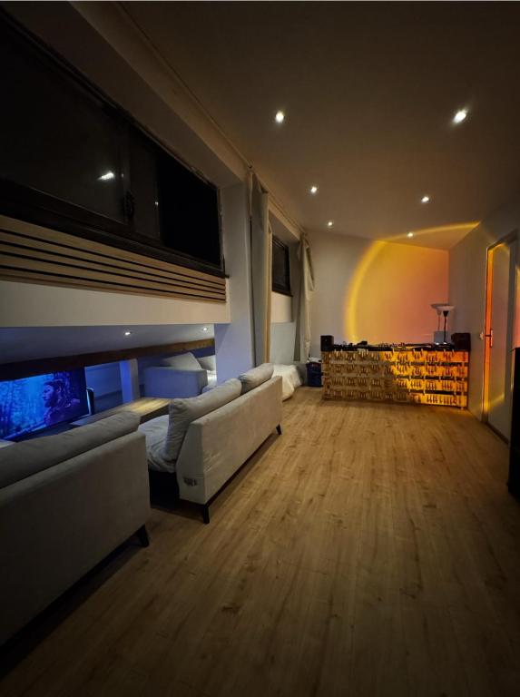 Loft sous les toits - 3