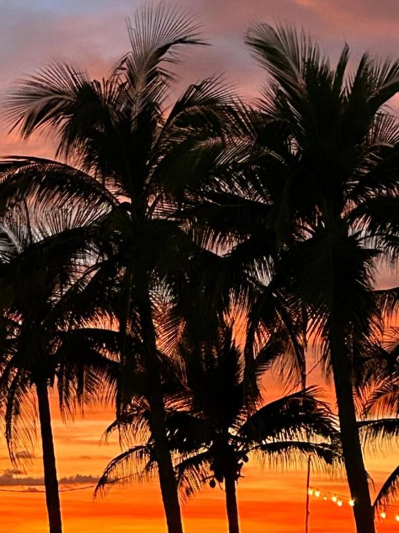 La Punta Ocean Breeze Suites - Palapa Suite - 3