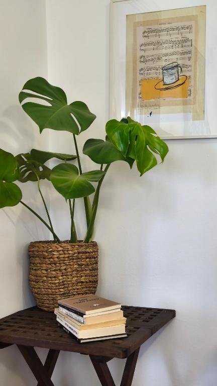 Apartamento Torres19 - 5