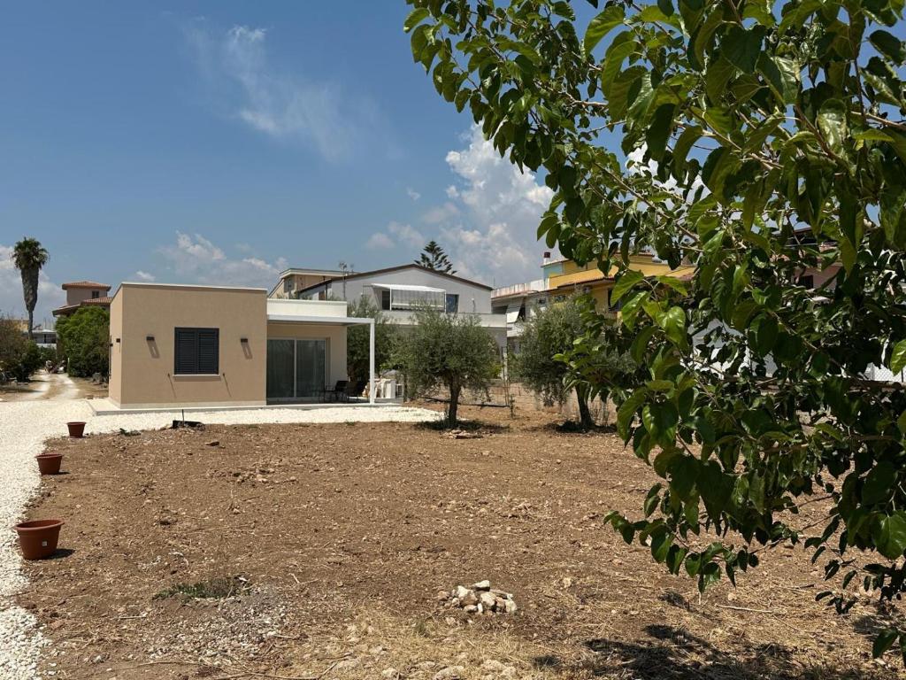 Galene Avola - 3