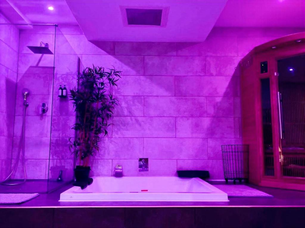 LOFT & SPA PRIVATIF - 3