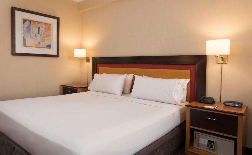 Holiday Inn Express Puerto Madero by IHG - 5