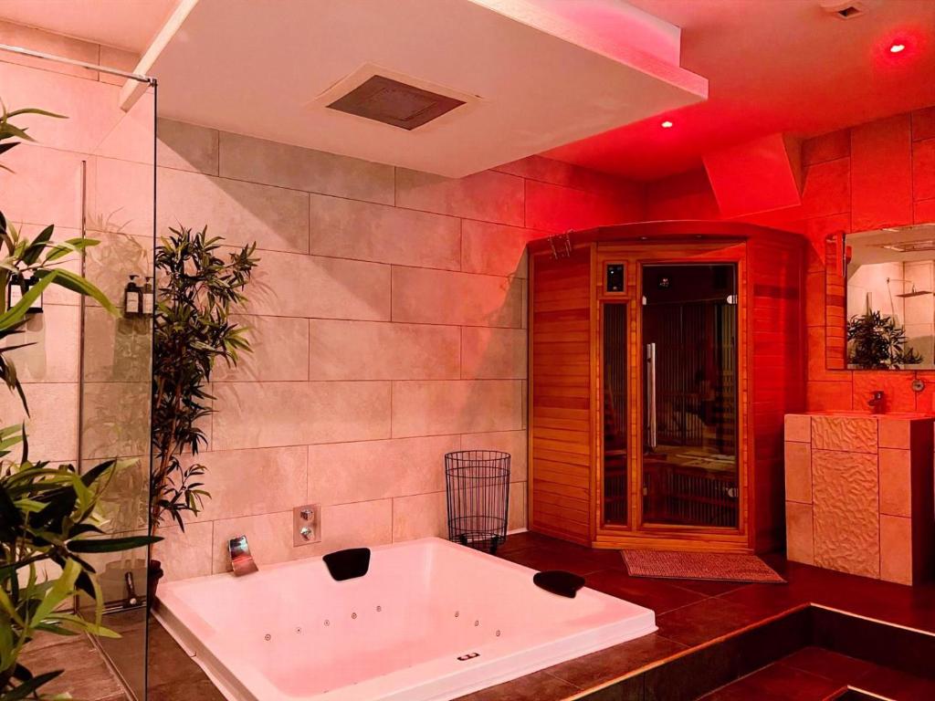 LOFT & SPA PRIVATIF - 1