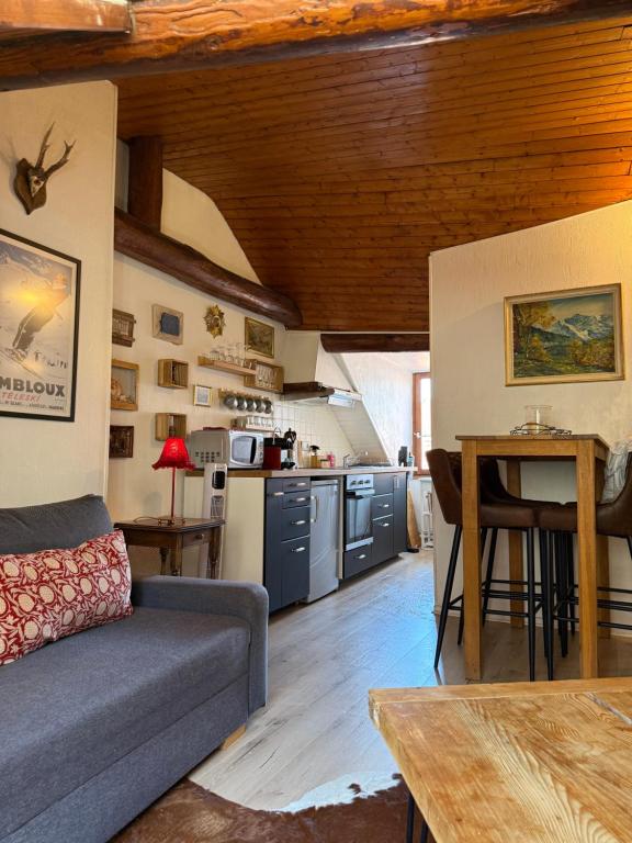 Super cozy alpine chalet - Annecy old town - 1