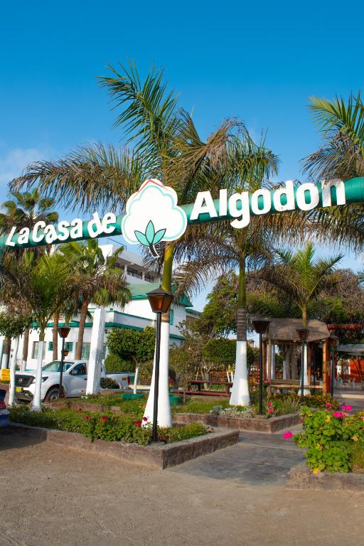 La Casa de Algodon - 1
