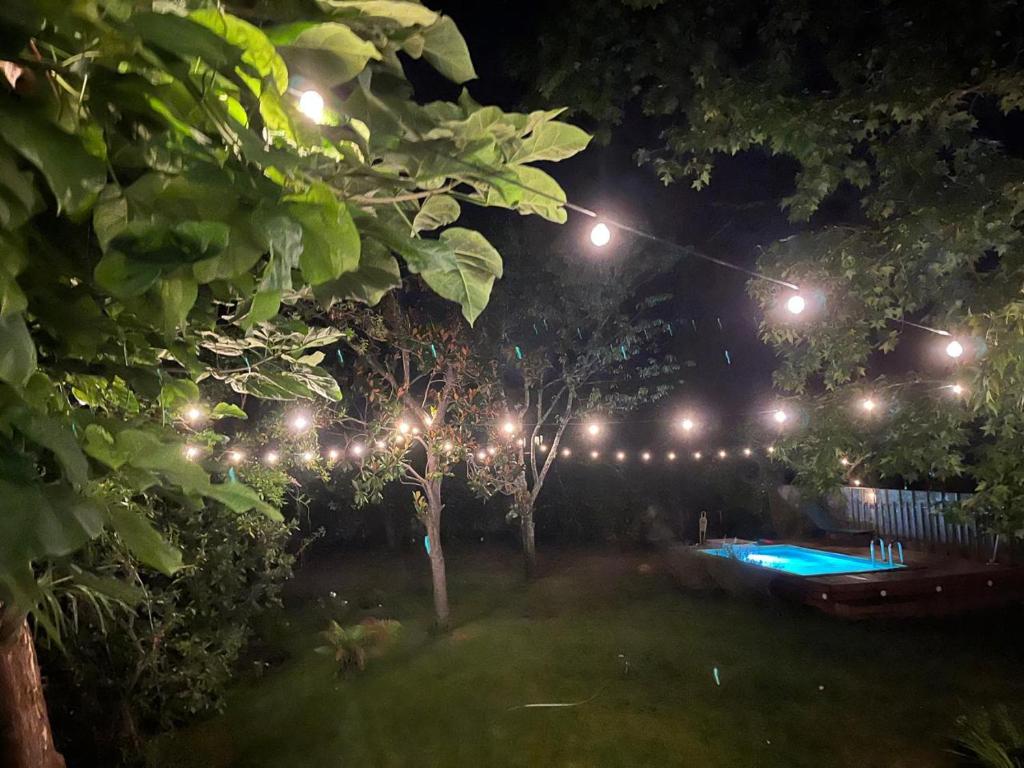 Grande villa 10 pers, jardin luxuriant, piscine - Au cœur de Dax - Proche plages et Pays Basque - 3