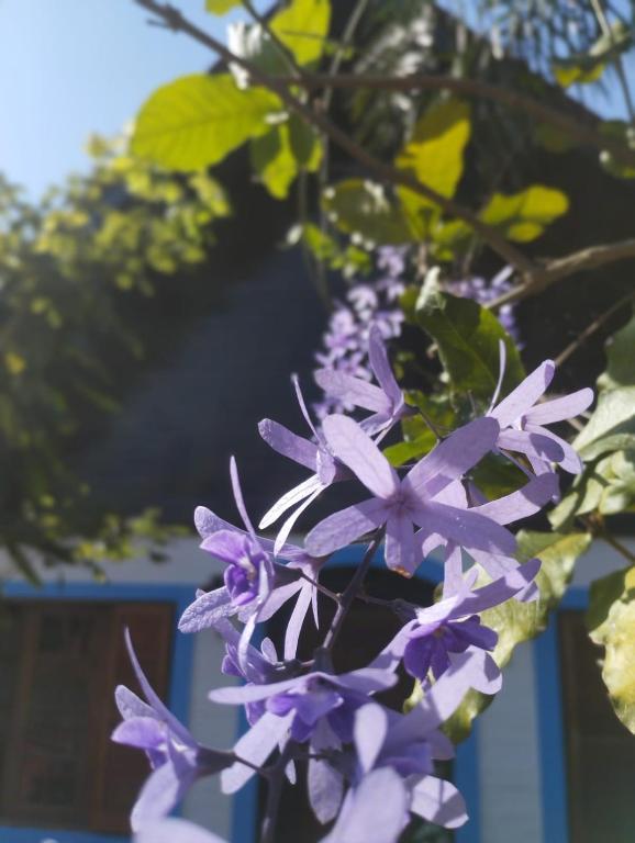 La Magnolia B&B - 5