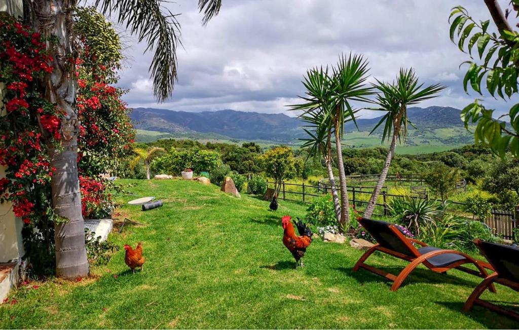 Finca La Rosa - 3