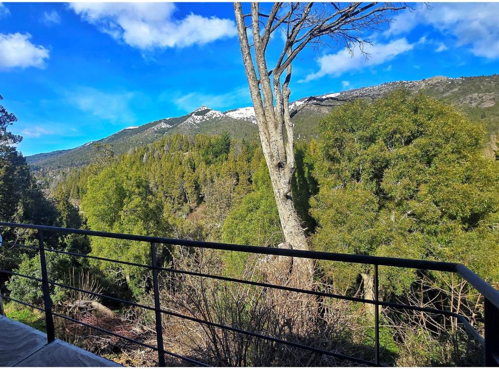 Del Pinar Bariloche - 3