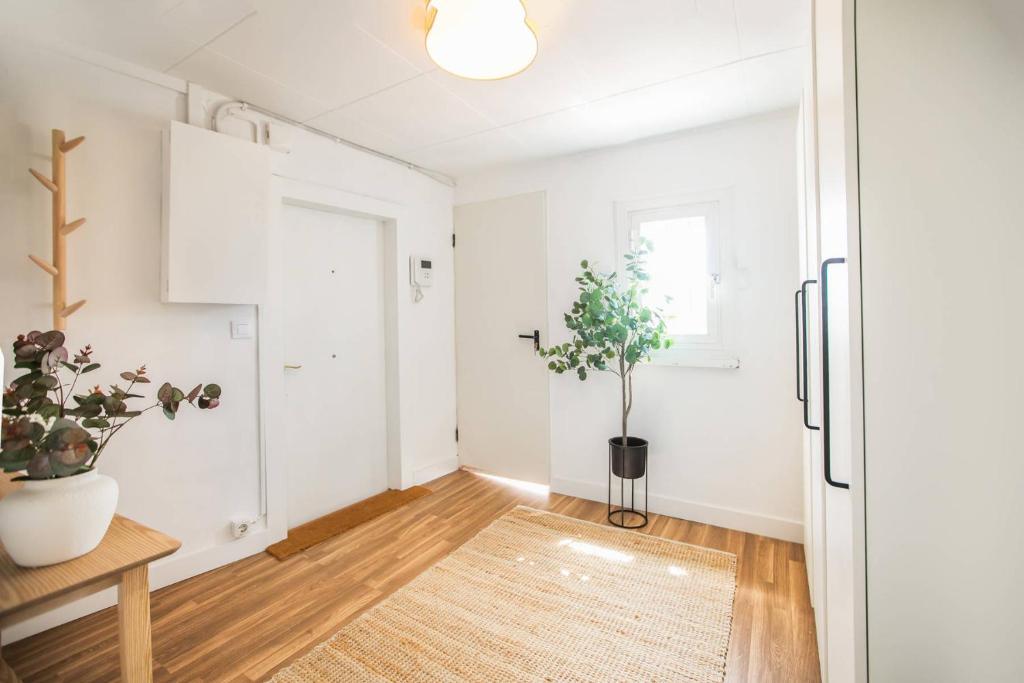 41ARA1101 - Fantastic Apartment with terrace - 2