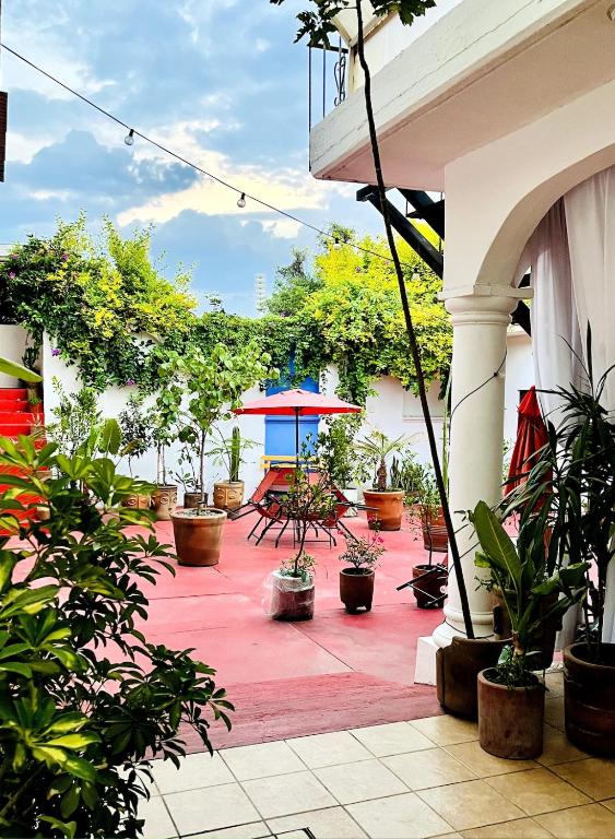 Central Oasis Suite with Terrace Patio Jalatlaco - 2