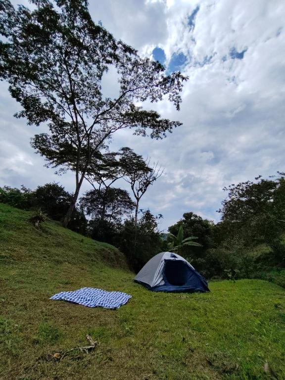 Camping encanto moniquireño - 2