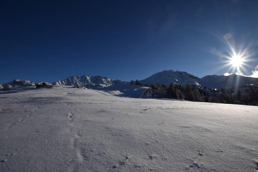 Résidence Le Plein Sud - Studio 2/3 pers - PLAGNE VILLAGES - 009PS -LE PLEIN SUD- WIFI INCLUS MAE-1674 - 5