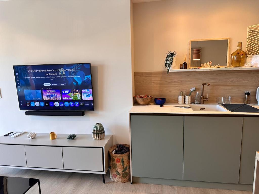 Comfortable two-room apartment, center of Saint Aygulf - 3