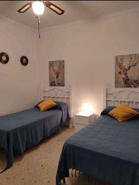 Casa Noria - 2