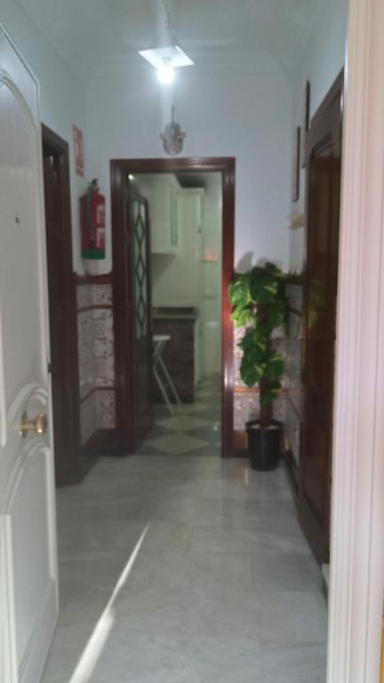 casa vacacional Alicia - 5
