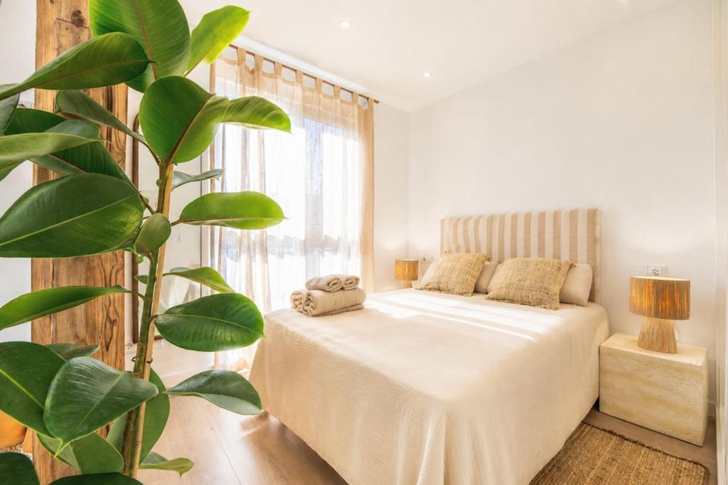 Suite Malabau 02 - 3