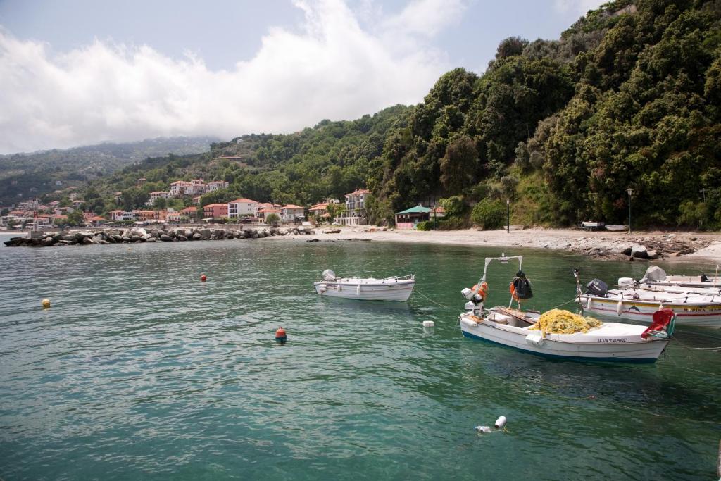 アクティビティ