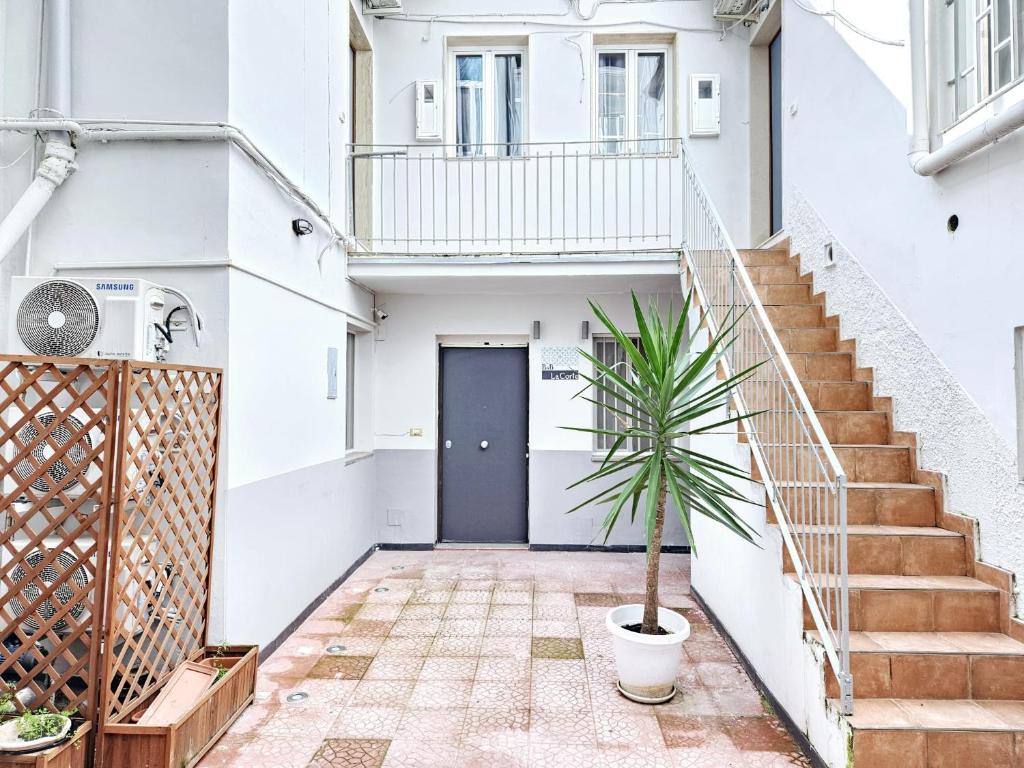 La Corte III - 3
