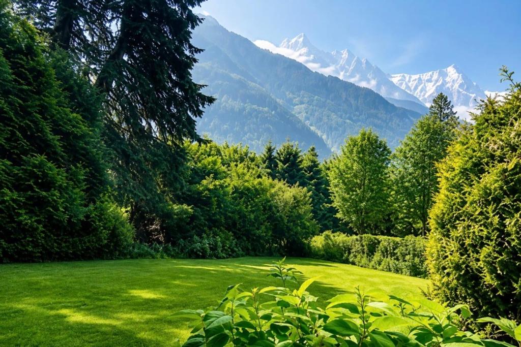 Chalet Chamonix Vue Mont-Blanc Jardin 8 pers - 1