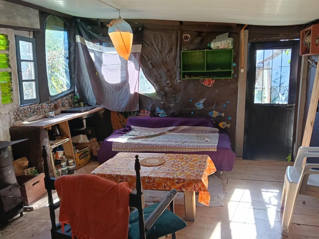 Casita en Arachania - 4