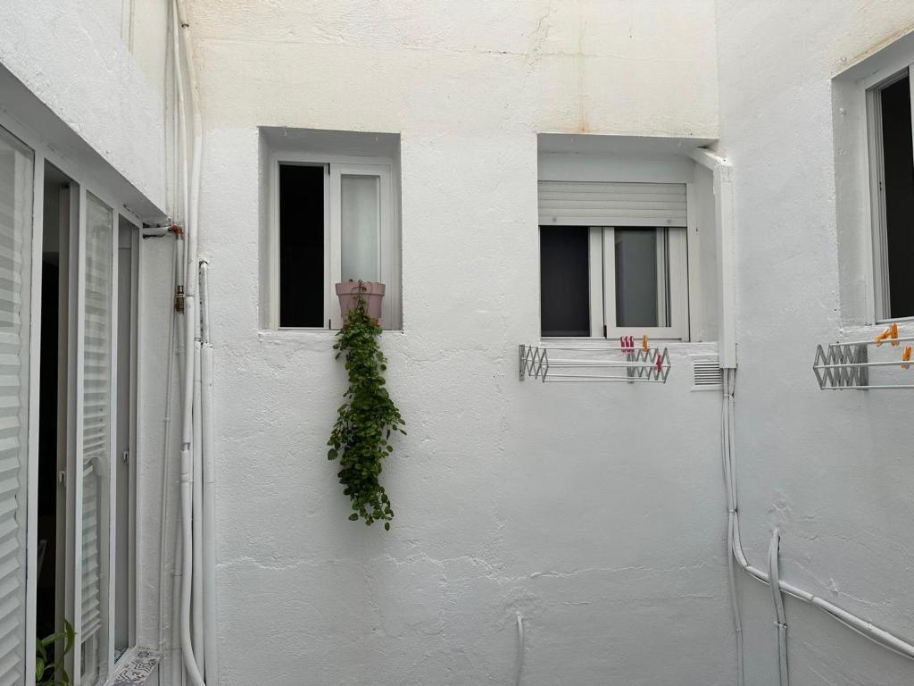 Hostal Altamar - 3