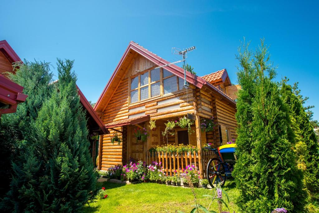 54 palabra clave  Mejor HD