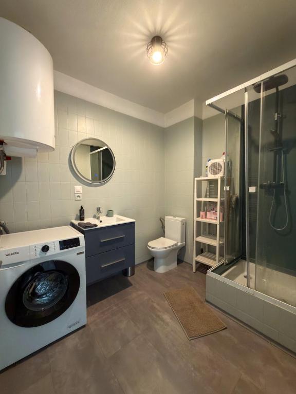 Spacious 1 bedroom apartment Close to downtown Strasbourg - 4
